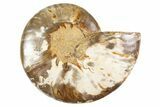 Cut & Polished Ammonite Fossil (Half) - Madagascar #345975-1